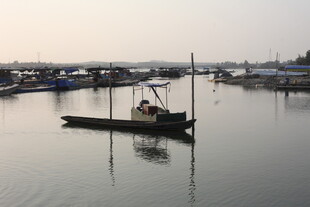湛江宁静港湾中的停泊小船