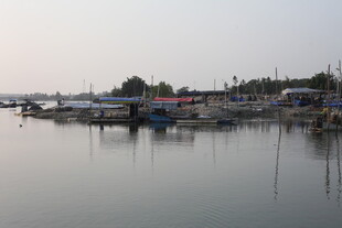 湛江宁静港湾的船只停泊景象