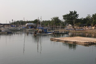 湛江宁静港湾中的停泊船只