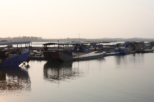 湛江河畔停泊船只的静谧景象