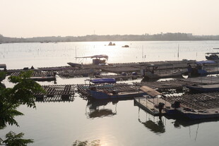 湛江宁静港湾中的停泊船只