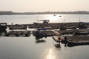湛江宁静港湾的停泊船只