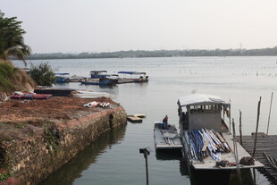 湛江宁静港湾中的停泊船只