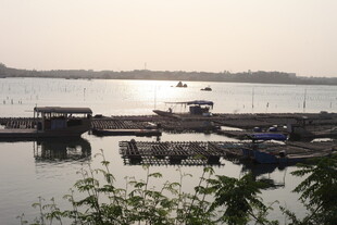 湛江江边停泊的船只与码头