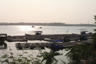 湛江宁静河畔停泊着多艘船只