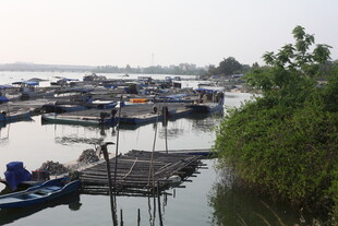 湛江水上渔村景象