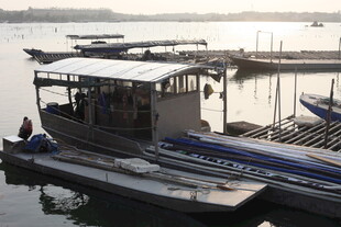 湛江码头停泊的多艘船只