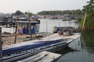 湛江码头停靠的多艘快艇