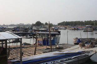 湛江宁静渔港中的停泊船只