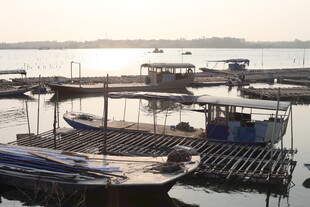 湛江海港码头停泊的船只