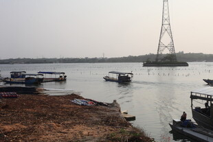 湛江湖畔船只与高耸塔景