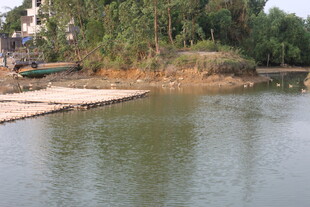湛江宁静河畔风景