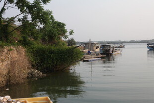 湛江河畔停泊船只的宁静景象