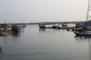 湛江宁静港湾中的停泊船只