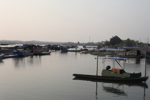 湛江宁静港湾中的小船景象