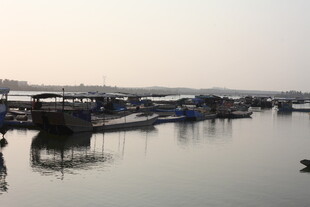 湛江宁静渔港 水面停泊众多船只