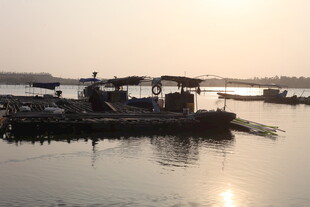 湛江夕阳下的水上船只景象