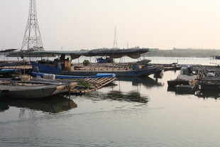 湛江港口停泊的船只景象