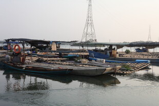 湛江码头停泊的多艘船只