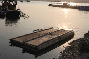 湛江水上浮台 静谧河畔景象