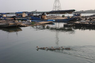 湛江港口停泊船只与水面倒影