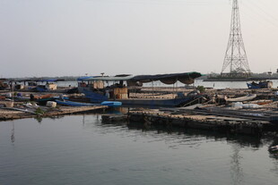 湛江港口停泊的多彩船只