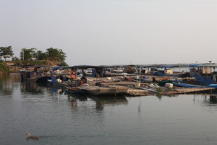 湛江宁静港湾中的停泊渔船