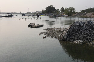 湛江宁静河畔景象