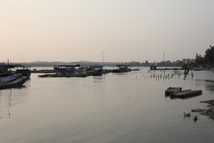 湛江宁静港湾停泊众多船只