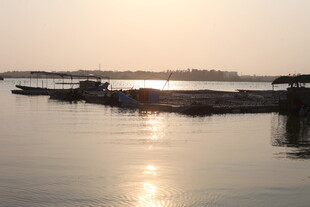 湛江夕阳下宁静的水面与船只