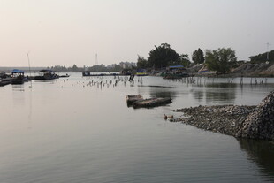 湛江宁静湖畔的船只停泊景象