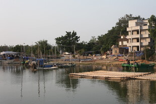 湛江河畔水乡景色