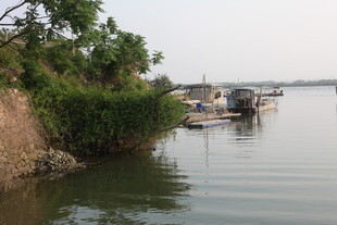 湛江宁静河畔停泊的船只