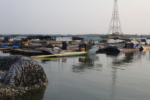 湛江港口停泊船只景象