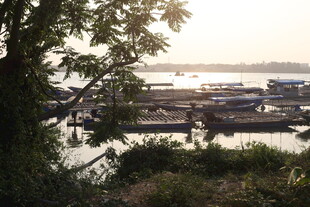 湛江河畔船只停泊的静谧景象