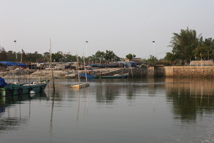 湛江宁静港湾中的停泊船只