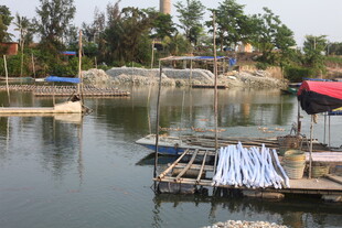 湛江湖畔停泊的简易船只与景