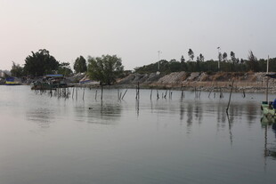 湛江宁静湖边的水上设施景观