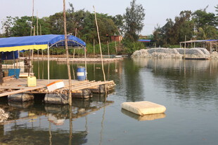 湛江湖畔码头风光