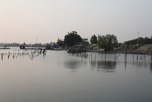 湛江宁静水边景致