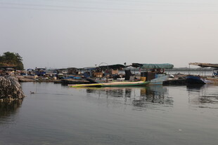 湛江宁静水边停泊的多彩船只