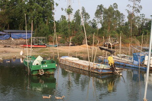 湛江宁静港湾中的多彩停泊船只