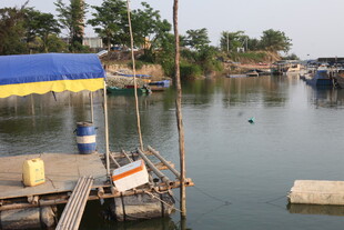 湛江湖畔简易码头与水上景致