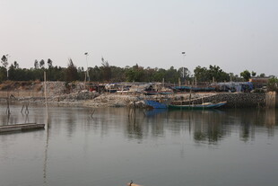 湛江宁静水边停泊船只景象