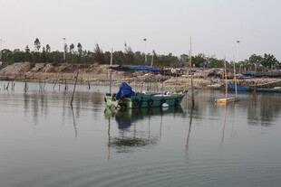 湛江宁静湖面上的小船
