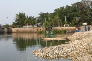 湛江河边景致 岸边碎石与绿植