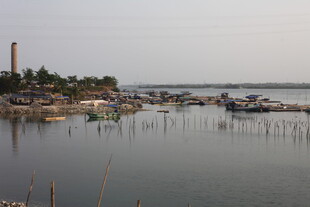 湛江宁静港湾渔船停泊景象