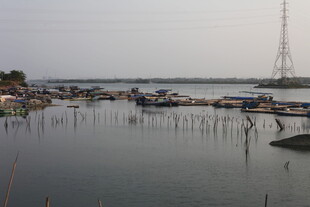 湛江宁静港湾中的停泊船只