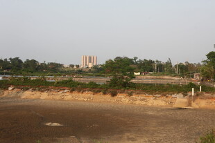 湛江乡村田野景象