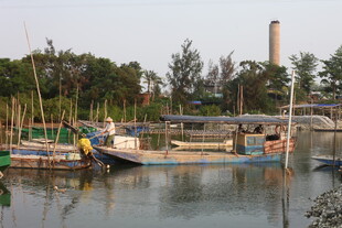 湛江宁静湖畔停泊的多彩船只